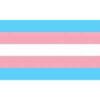 PRIDE - TRANSEXUAL FLAG 90 X 150