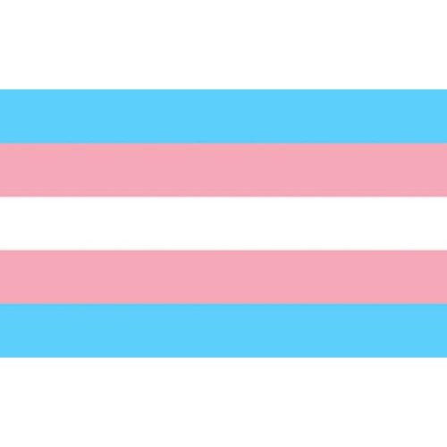 PRIDE - TRANSEXUAL FLAG 90 X 150