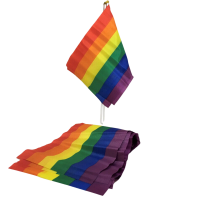 PRIDE - LGBT FLAG SMALL FLAG BANNER