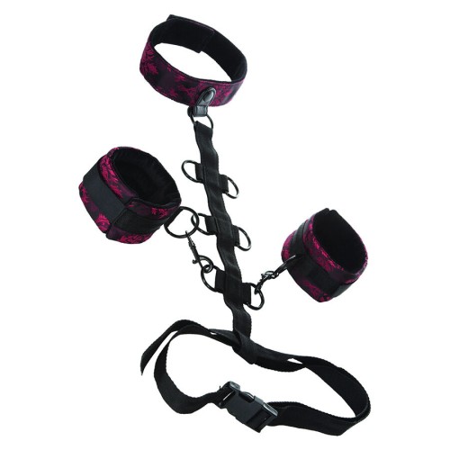 Белезници с нашийник CALEXOTICS - SCANDAL COMPORAL SUPPORT WITH NECK