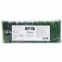 Презервативи PASANTE - GLOW CONDOMS BAG 14 Презервативи PASANTE - GLOW CONDOMS BAG 14