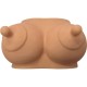 Касичка DIABLO PICANTE - PIGGY BANK IN THE SHAPE OF BOOBS LIGHT TONE | DIVERTY SEX|DIABLO PICANTE Касичка DIABLO PICANTE - PIGGY BANK IN THE SHAPE OF BOOBS LIGHT TONE