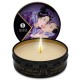 MINI CARESS BY CANDLELIGHT MASSAGE CANDLE + DISPLAYS