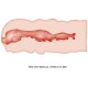 Мастурбатор CRAZY BULL - ISABEL VAGINA MASTURBATOR 13.5 CM